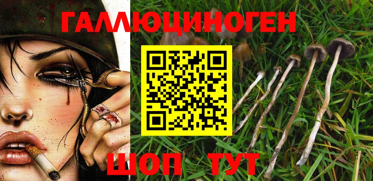 Псилоцибиновые грибы мухоморы  Вход с VPN  Борисоглебск 